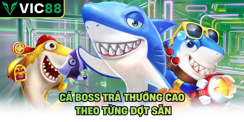 Cá boss trả thưởng cao theo từng đợt săn