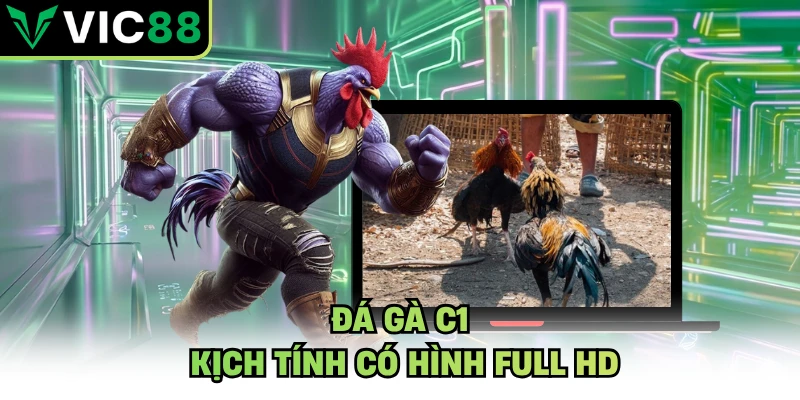 Đá gà c1 kịch tính có hình Full HD