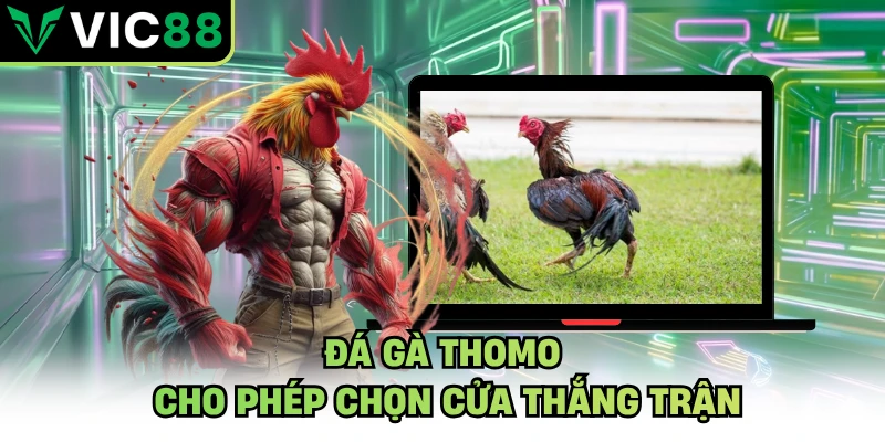 Đá gà thomo cho phép chọn cửa thắng trận