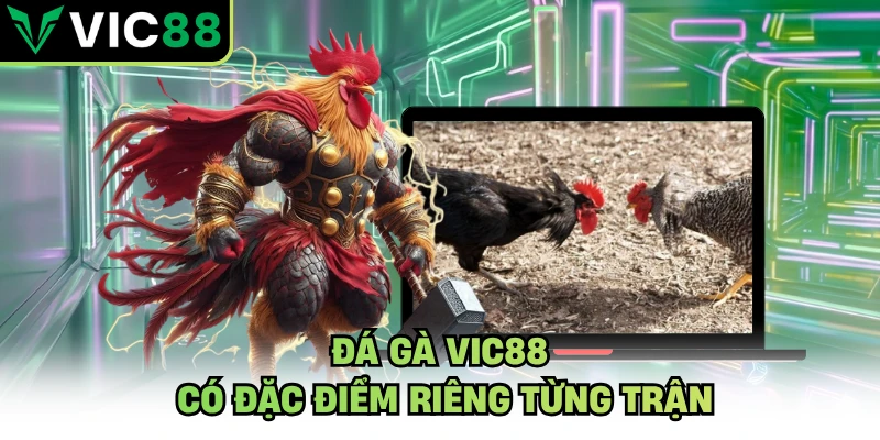 Đá gà VIC88 có đặc điểm riêng từng trận