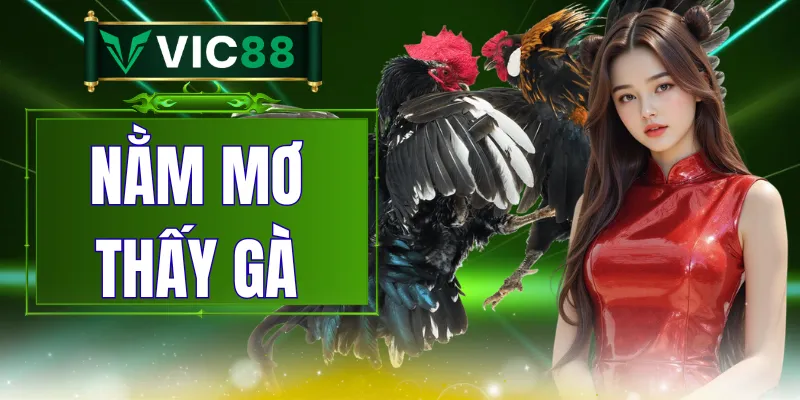 Nằm Mơ Thấy Gà - Giải Mã Dấu Hiệu Và Con Số May Mắn