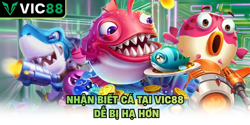 Nhận biết cá tại VIC88 dễ bị hạ hơn