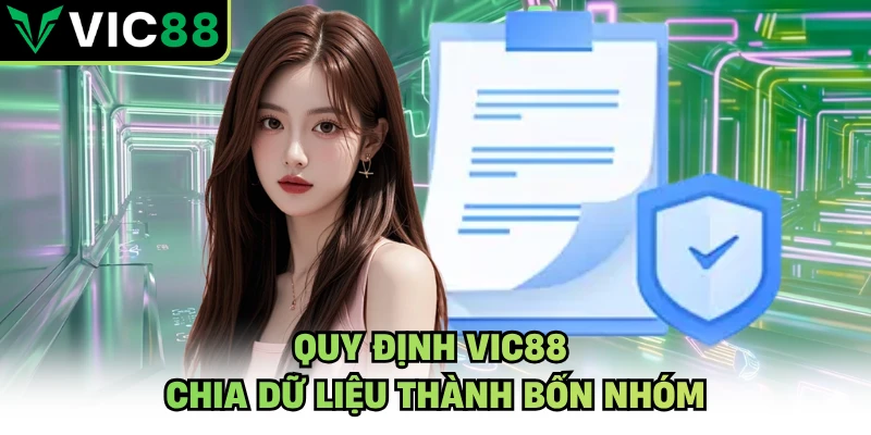 Quy định VIC88 chia dữ liệu thành bốn nhóm