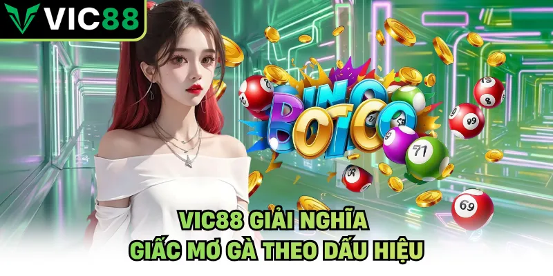VIC88 giải nghĩa giấc mơ gà theo dấu hiệu
